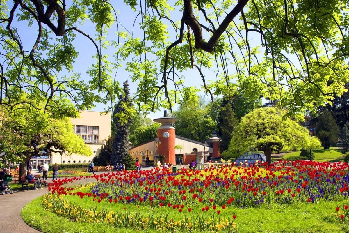 Hotel Kocka Vrnjačka Banja Εξωτερικό φωτογραφία